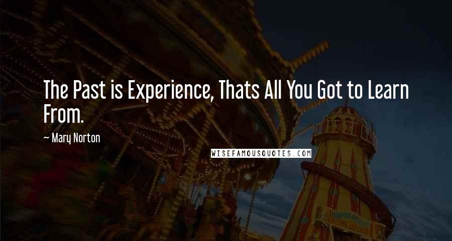 Mary Norton Quotes: The Past is Experience, Thats All You Got to Learn From.