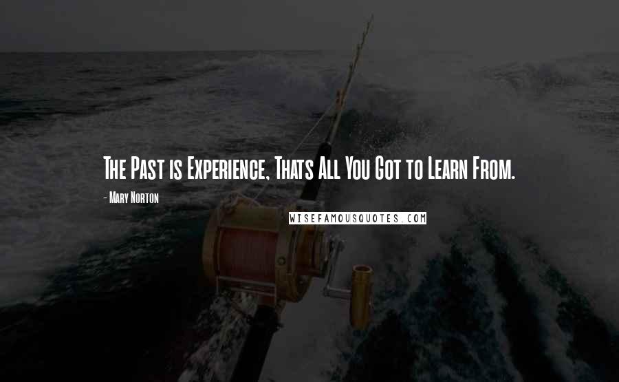 Mary Norton Quotes: The Past is Experience, Thats All You Got to Learn From.