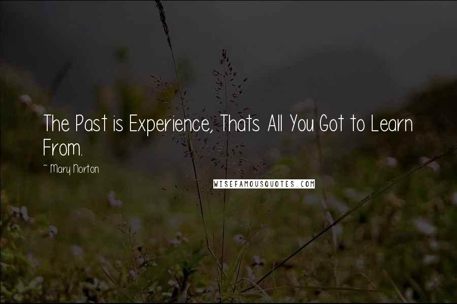 Mary Norton Quotes: The Past is Experience, Thats All You Got to Learn From.