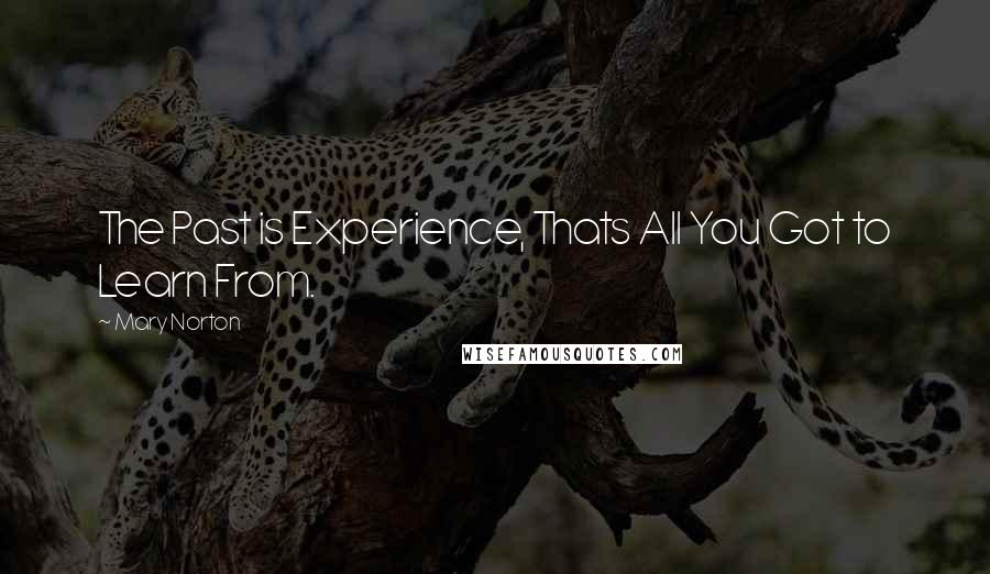 Mary Norton Quotes: The Past is Experience, Thats All You Got to Learn From.