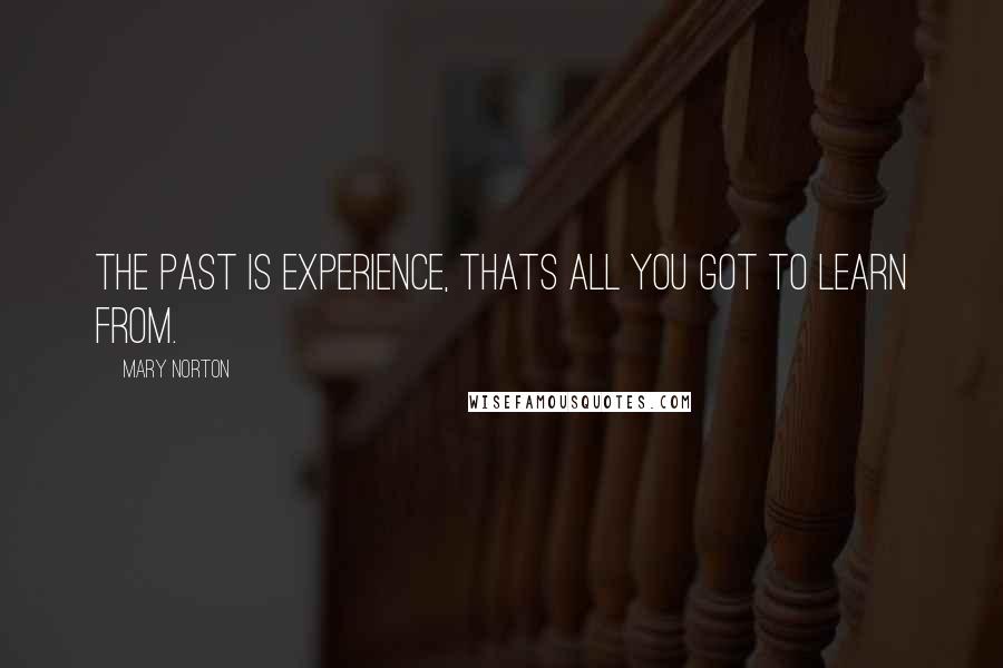 Mary Norton Quotes: The Past is Experience, Thats All You Got to Learn From.