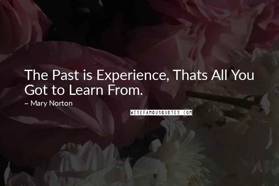 Mary Norton Quotes: The Past is Experience, Thats All You Got to Learn From.