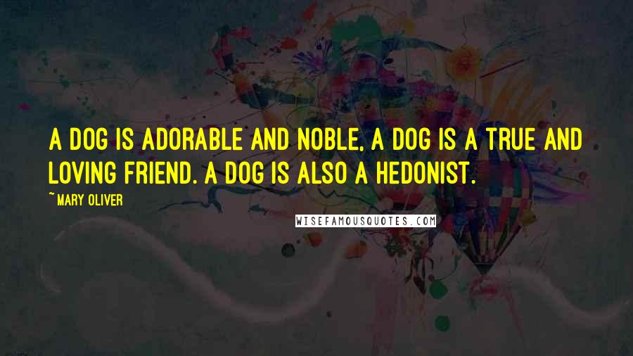 Mary Oliver Quotes: A dog is adorable and noble, a dog is a true and loving friend. A dog is also a hedonist.