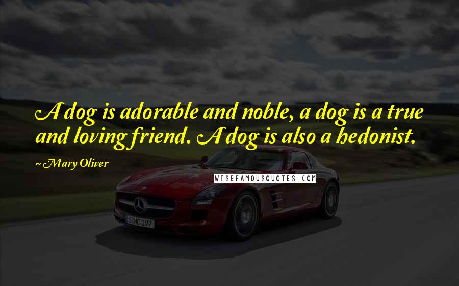 Mary Oliver Quotes: A dog is adorable and noble, a dog is a true and loving friend. A dog is also a hedonist.