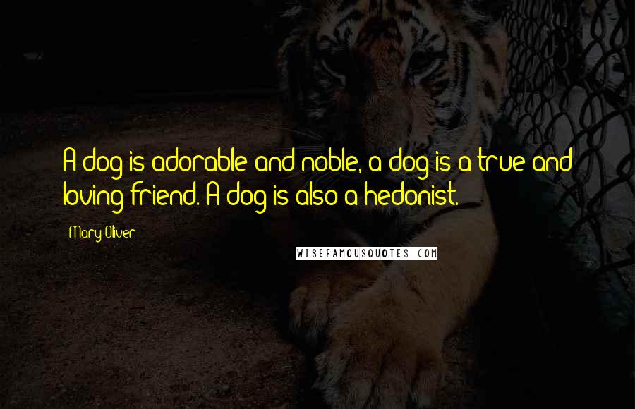 Mary Oliver Quotes: A dog is adorable and noble, a dog is a true and loving friend. A dog is also a hedonist.