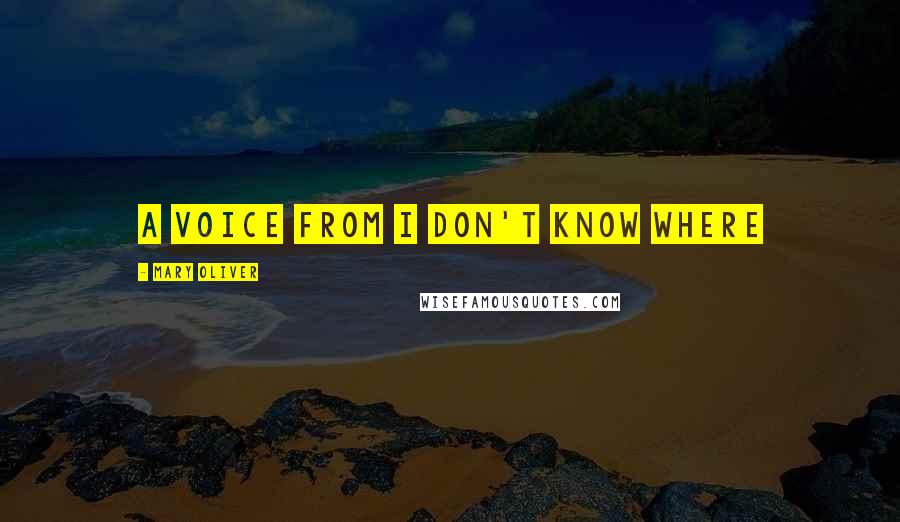 Mary Oliver Quotes: A Voice from I Don't Know Where