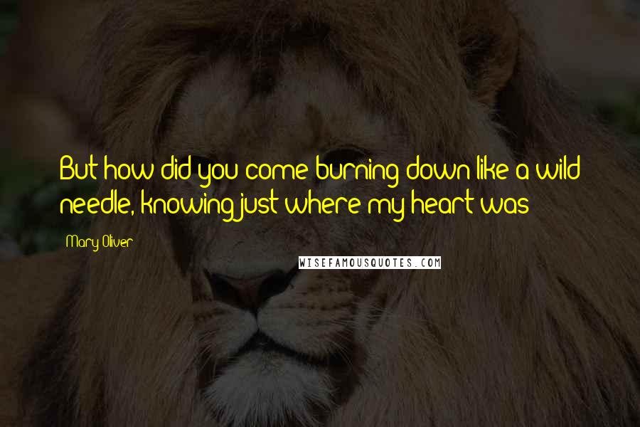 Mary Oliver Quotes: But how did you come burning down like a wild needle, knowing just where my heart was?