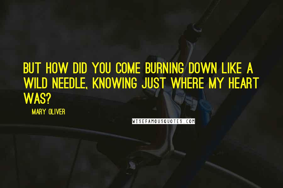 Mary Oliver Quotes: But how did you come burning down like a wild needle, knowing just where my heart was?