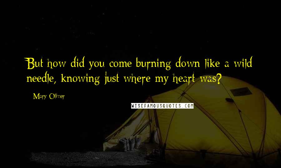 Mary Oliver Quotes: But how did you come burning down like a wild needle, knowing just where my heart was?