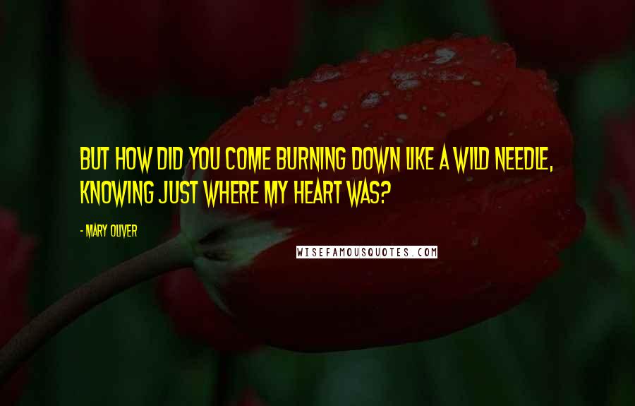 Mary Oliver Quotes: But how did you come burning down like a wild needle, knowing just where my heart was?