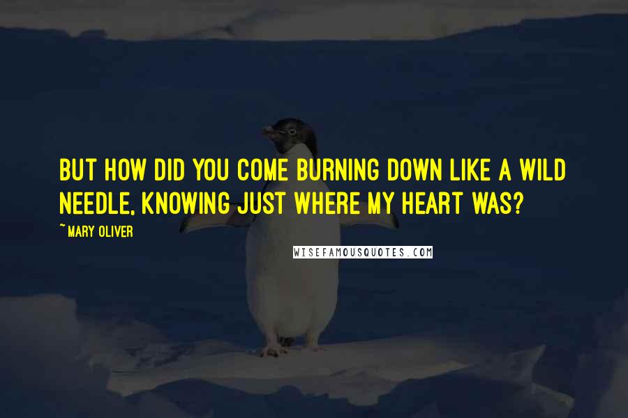 Mary Oliver Quotes: But how did you come burning down like a wild needle, knowing just where my heart was?
