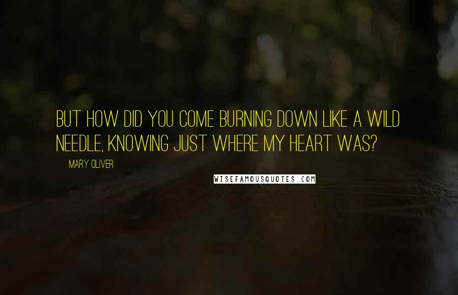 Mary Oliver Quotes: But how did you come burning down like a wild needle, knowing just where my heart was?