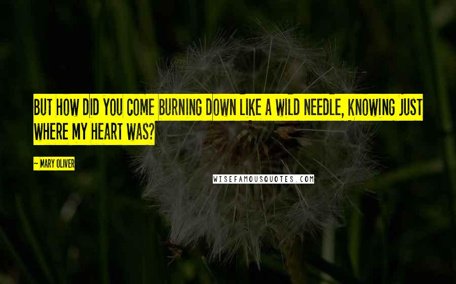 Mary Oliver Quotes: But how did you come burning down like a wild needle, knowing just where my heart was?