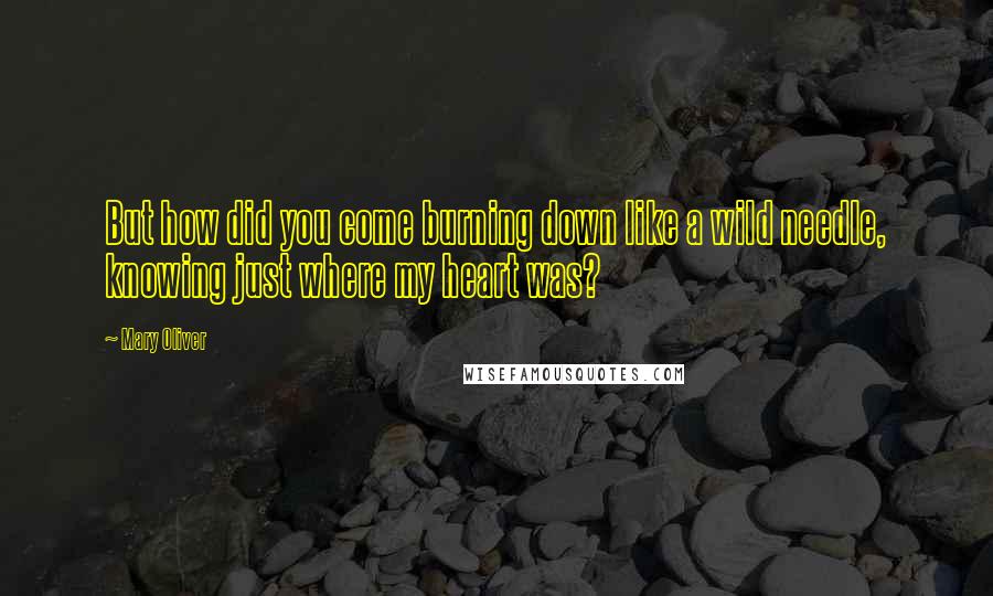 Mary Oliver Quotes: But how did you come burning down like a wild needle, knowing just where my heart was?