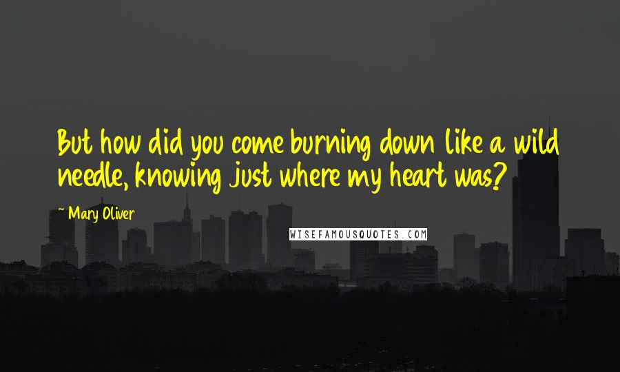 Mary Oliver Quotes: But how did you come burning down like a wild needle, knowing just where my heart was?