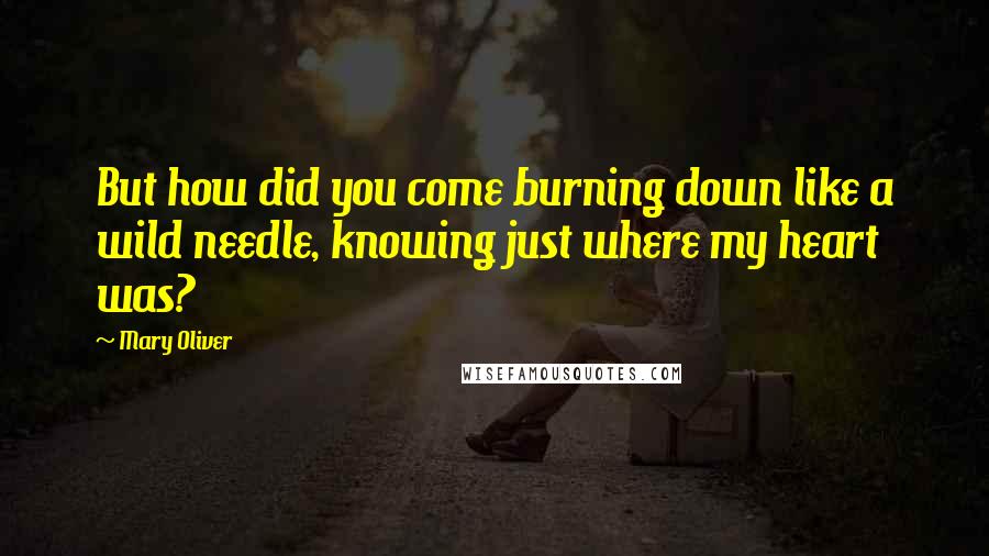 Mary Oliver Quotes: But how did you come burning down like a wild needle, knowing just where my heart was?