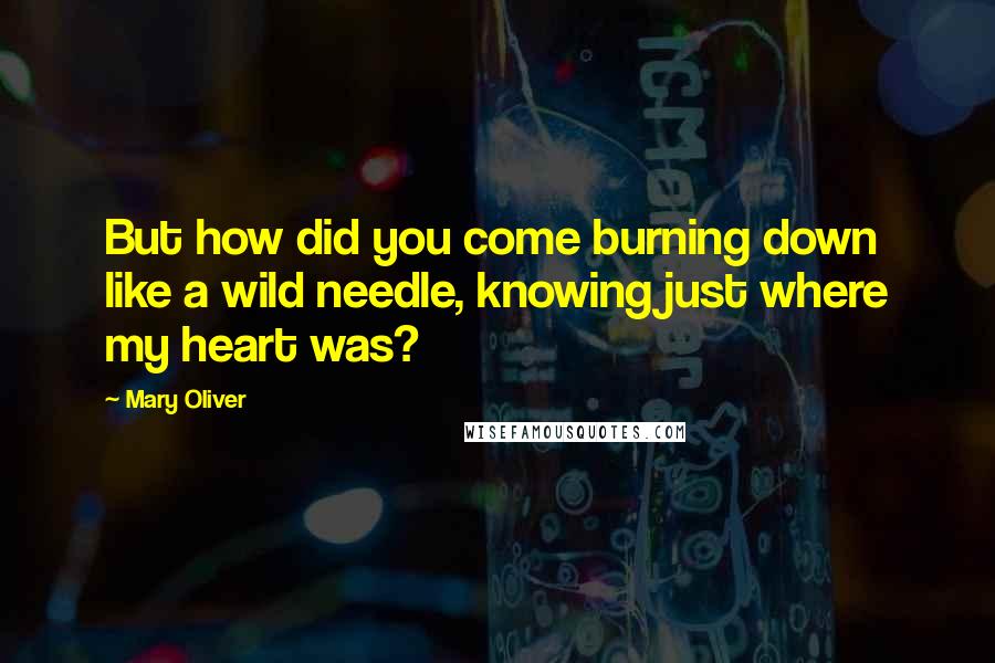 Mary Oliver Quotes: But how did you come burning down like a wild needle, knowing just where my heart was?