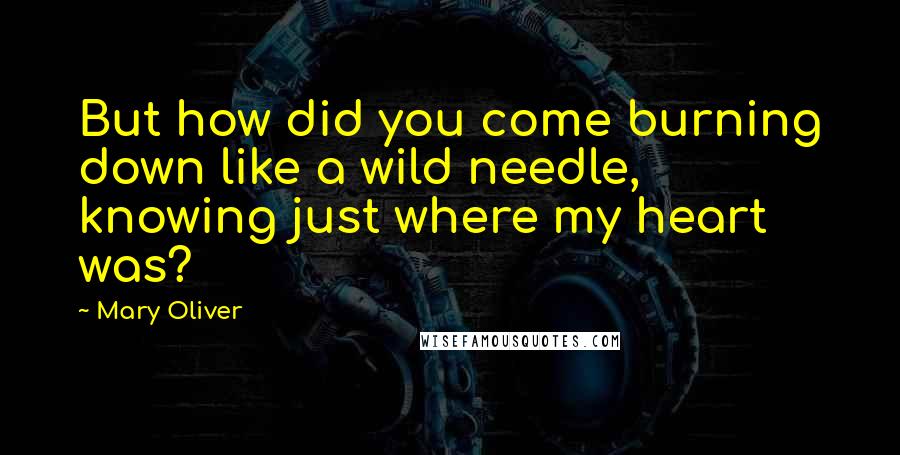 Mary Oliver Quotes: But how did you come burning down like a wild needle, knowing just where my heart was?