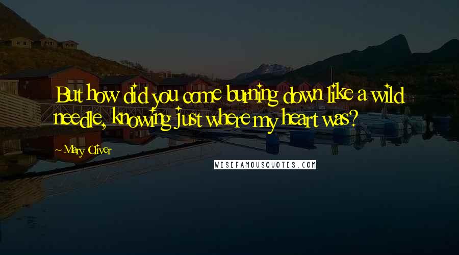 Mary Oliver Quotes: But how did you come burning down like a wild needle, knowing just where my heart was?