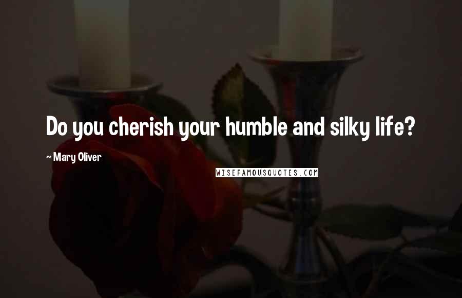 Mary Oliver Quotes: Do you cherish your humble and silky life?
