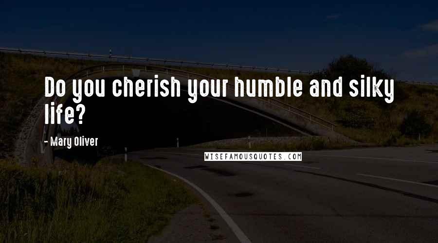 Mary Oliver Quotes: Do you cherish your humble and silky life?