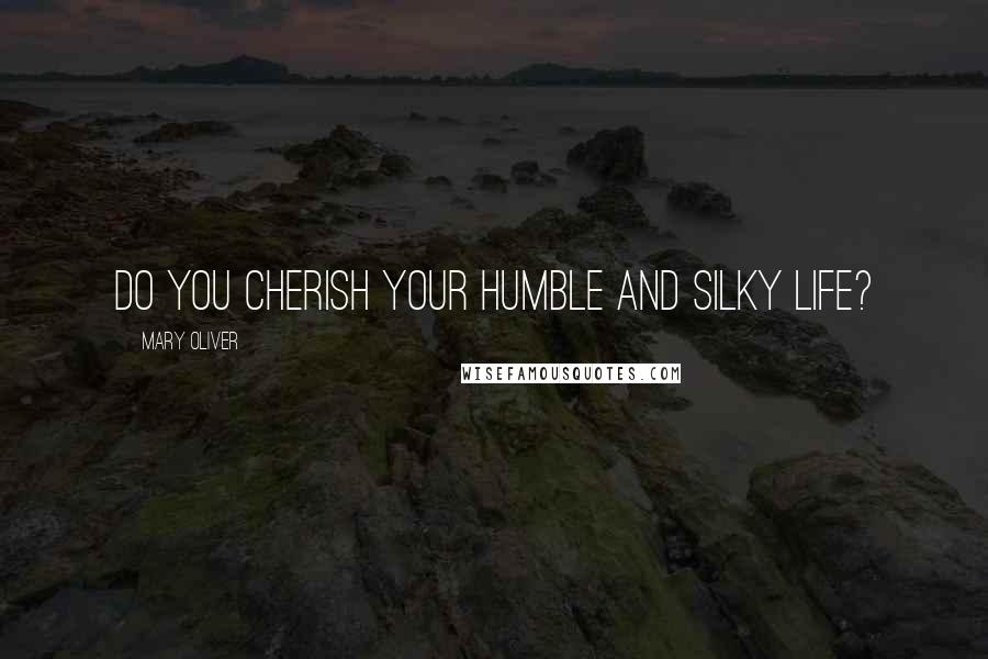 Mary Oliver Quotes: Do you cherish your humble and silky life?