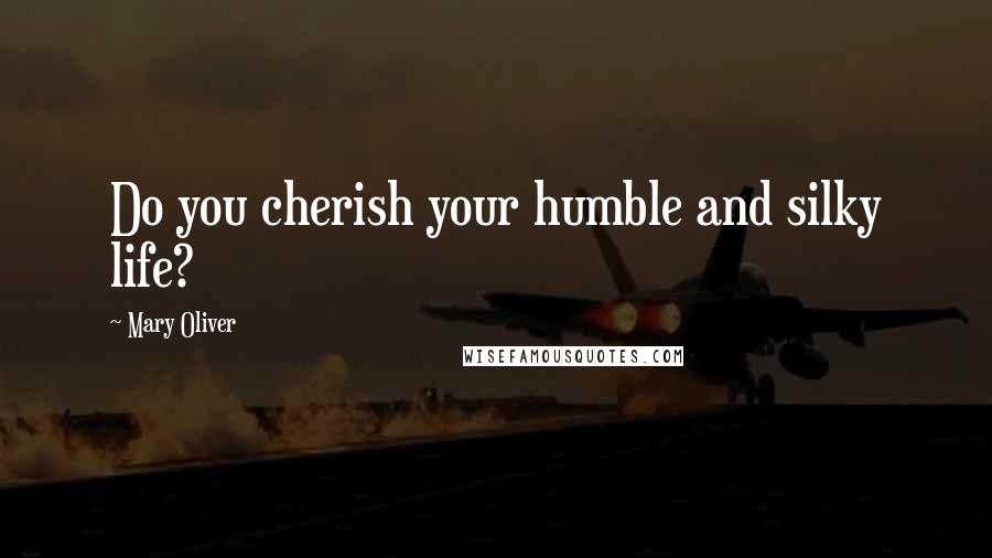 Mary Oliver Quotes: Do you cherish your humble and silky life?