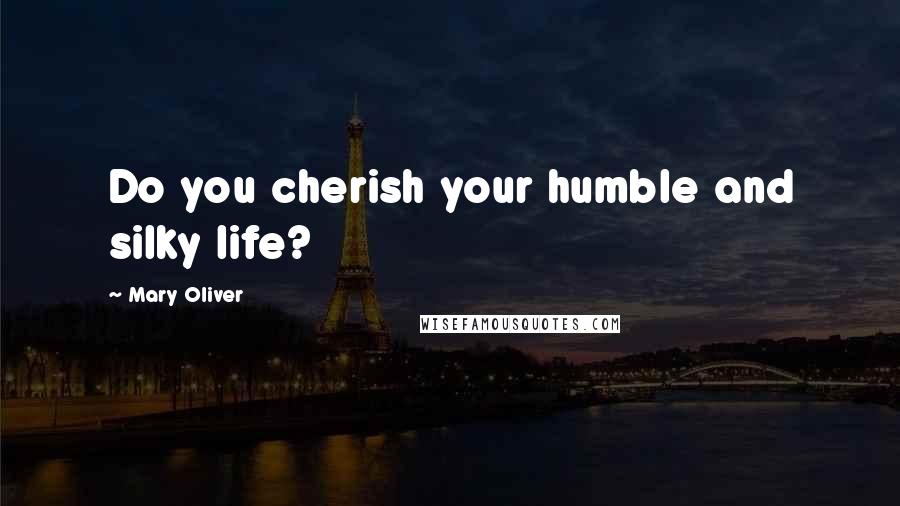 Mary Oliver Quotes: Do you cherish your humble and silky life?