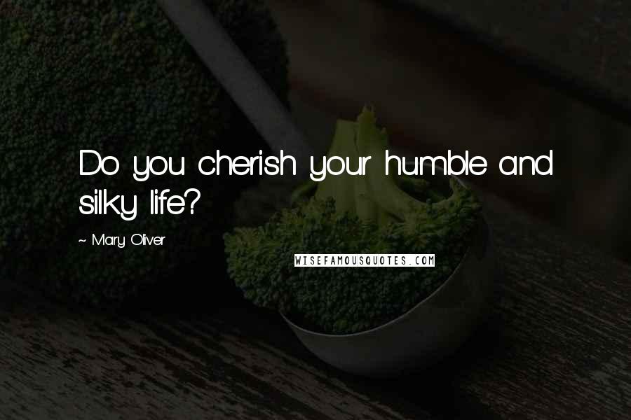 Mary Oliver Quotes: Do you cherish your humble and silky life?