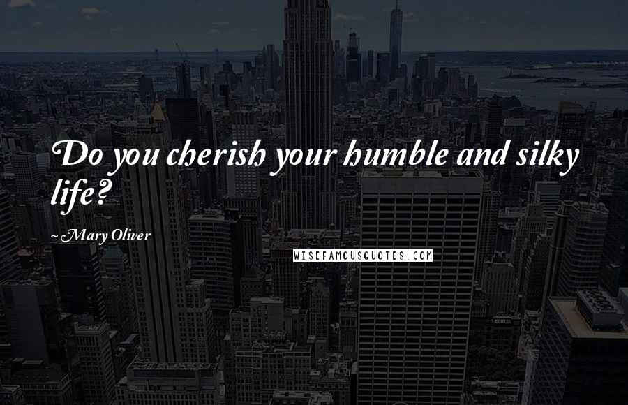 Mary Oliver Quotes: Do you cherish your humble and silky life?