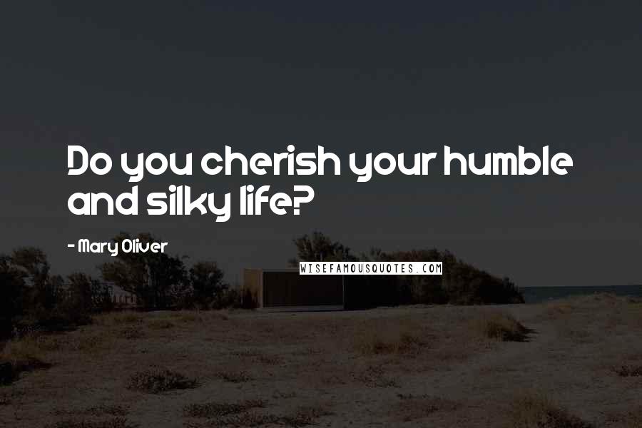 Mary Oliver Quotes: Do you cherish your humble and silky life?