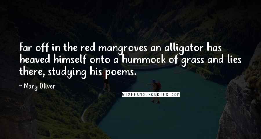 Mary Oliver Quotes: Far off in the red mangroves an alligator has heaved himself onto a hummock of grass and lies there, studying his poems.