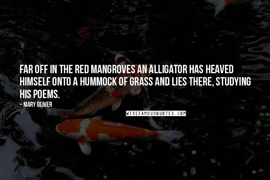 Mary Oliver Quotes: Far off in the red mangroves an alligator has heaved himself onto a hummock of grass and lies there, studying his poems.