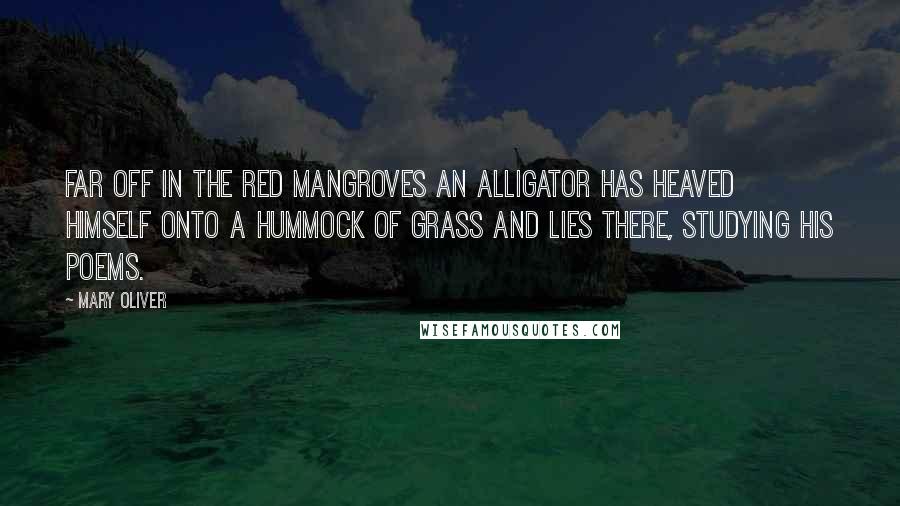 Mary Oliver Quotes: Far off in the red mangroves an alligator has heaved himself onto a hummock of grass and lies there, studying his poems.