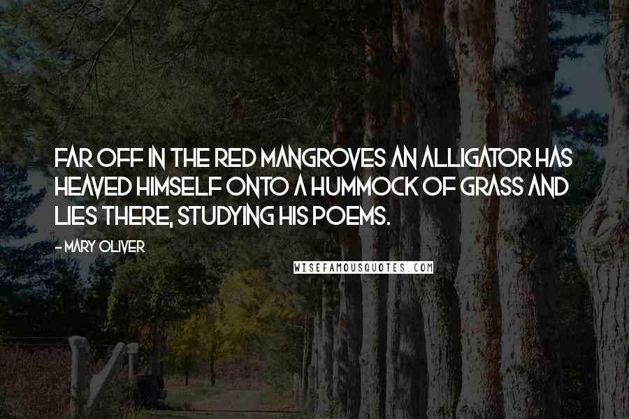 Mary Oliver Quotes: Far off in the red mangroves an alligator has heaved himself onto a hummock of grass and lies there, studying his poems.