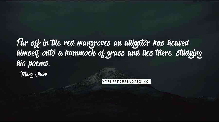 Mary Oliver Quotes: Far off in the red mangroves an alligator has heaved himself onto a hummock of grass and lies there, studying his poems.