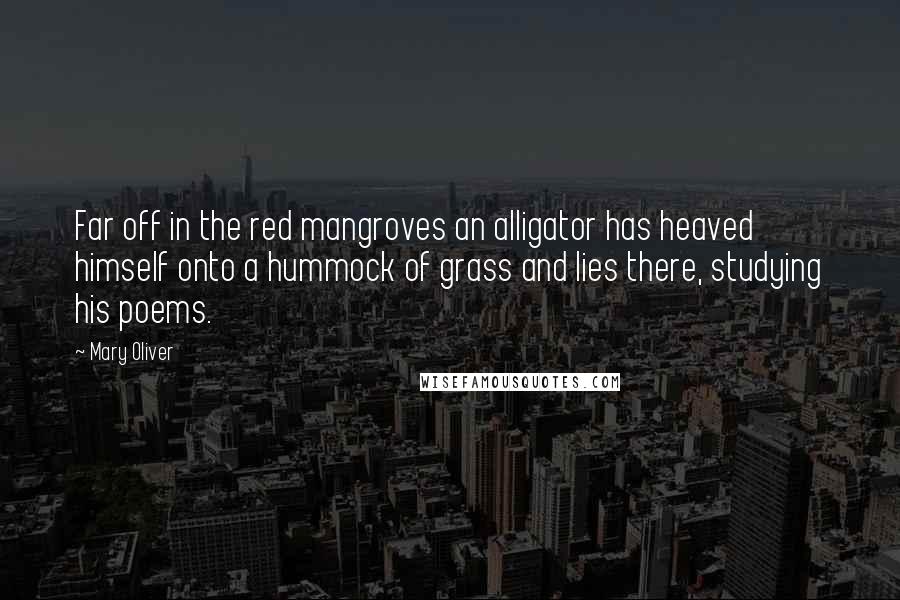 Mary Oliver Quotes: Far off in the red mangroves an alligator has heaved himself onto a hummock of grass and lies there, studying his poems.