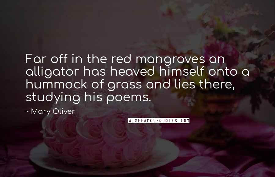 Mary Oliver Quotes: Far off in the red mangroves an alligator has heaved himself onto a hummock of grass and lies there, studying his poems.