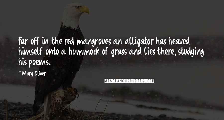 Mary Oliver Quotes: Far off in the red mangroves an alligator has heaved himself onto a hummock of grass and lies there, studying his poems.
