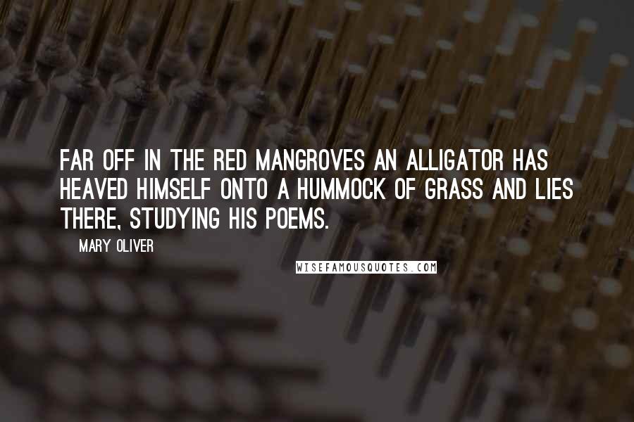 Mary Oliver Quotes: Far off in the red mangroves an alligator has heaved himself onto a hummock of grass and lies there, studying his poems.