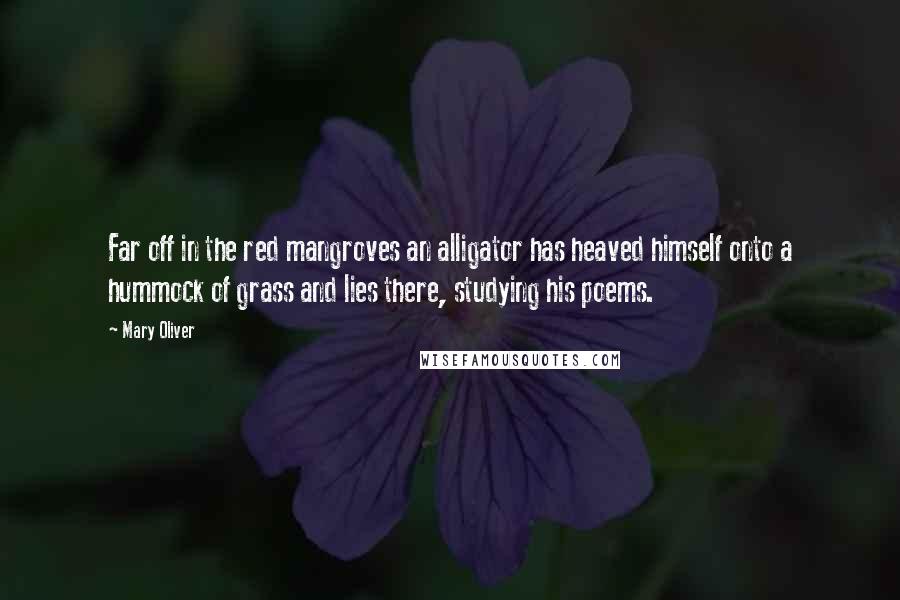 Mary Oliver Quotes: Far off in the red mangroves an alligator has heaved himself onto a hummock of grass and lies there, studying his poems.