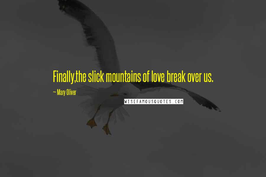 Mary Oliver Quotes: Finally,the slick mountains of love break over us.