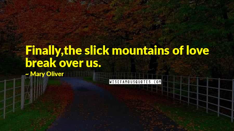 Mary Oliver Quotes: Finally,the slick mountains of love break over us.
