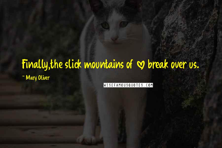 Mary Oliver Quotes: Finally,the slick mountains of love break over us.