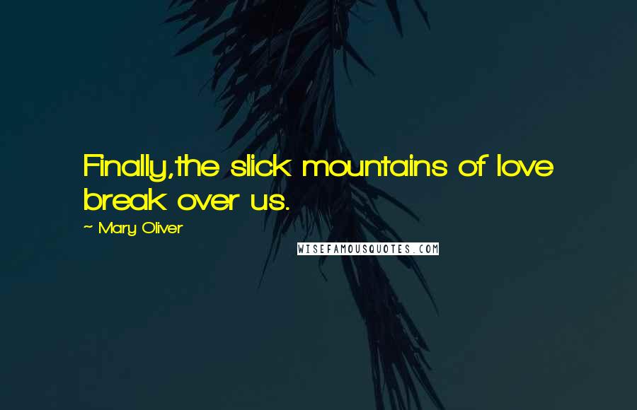 Mary Oliver Quotes: Finally,the slick mountains of love break over us.