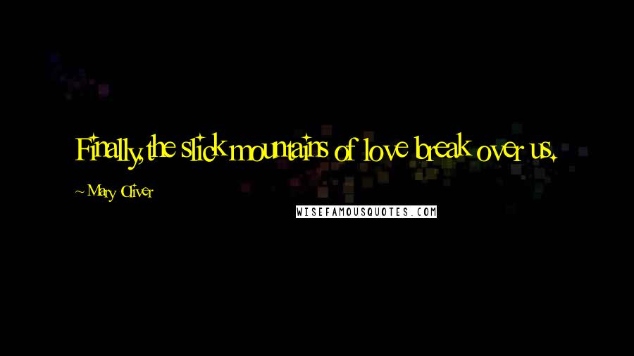 Mary Oliver Quotes: Finally,the slick mountains of love break over us.