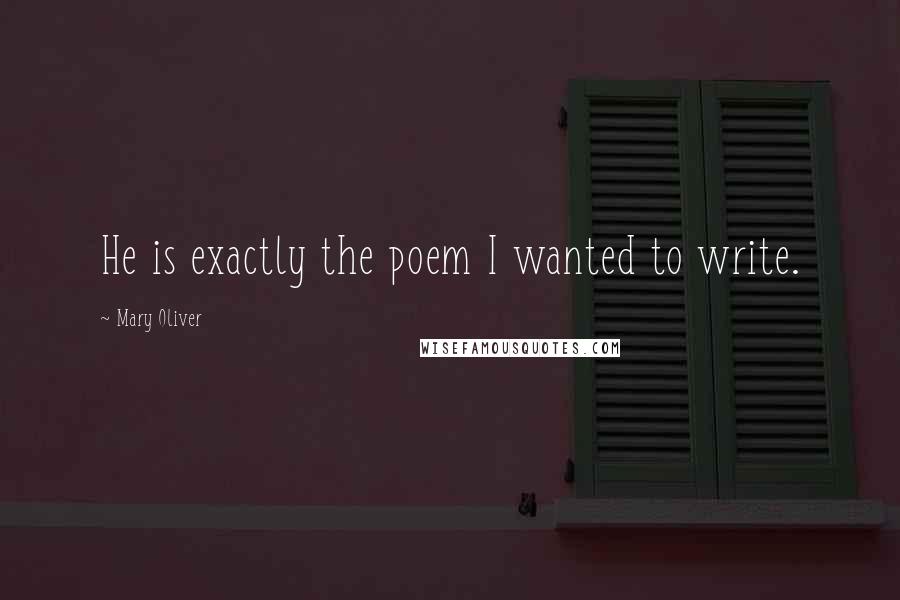 Mary Oliver Quotes: He is exactly the poem I wanted to write.