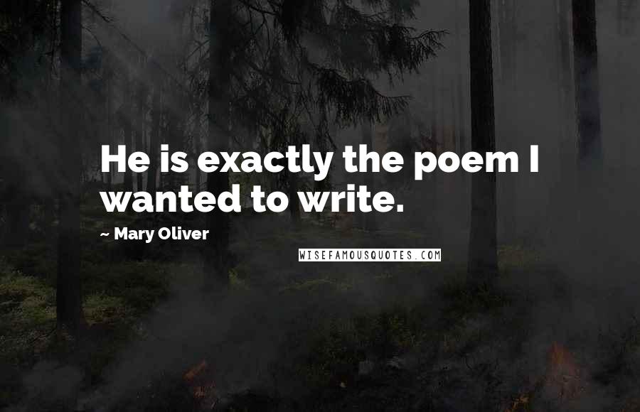 Mary Oliver Quotes: He is exactly the poem I wanted to write.