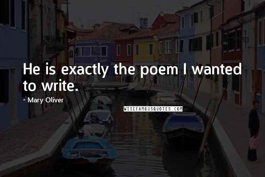 Mary Oliver Quotes: He is exactly the poem I wanted to write.