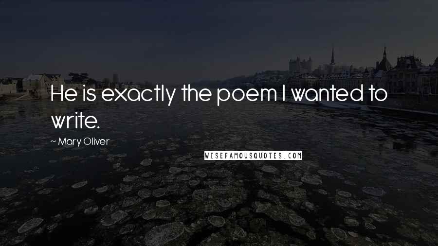 Mary Oliver Quotes: He is exactly the poem I wanted to write.